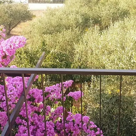 In * Stari Grad (Hvar)